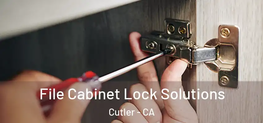  File Cabinet Lock Solutions Cutler - CA