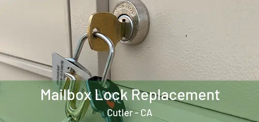 Mailbox Lock Replacement Cutler - CA