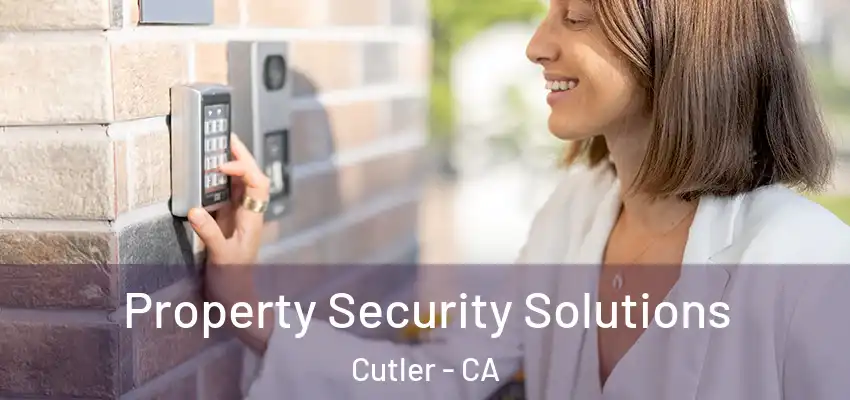  Property Security Solutions Cutler - CA